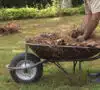 Cuánto cuesta limpiar un terreno