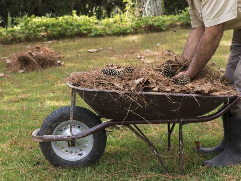 Cuánto cuesta limpiar un terreno