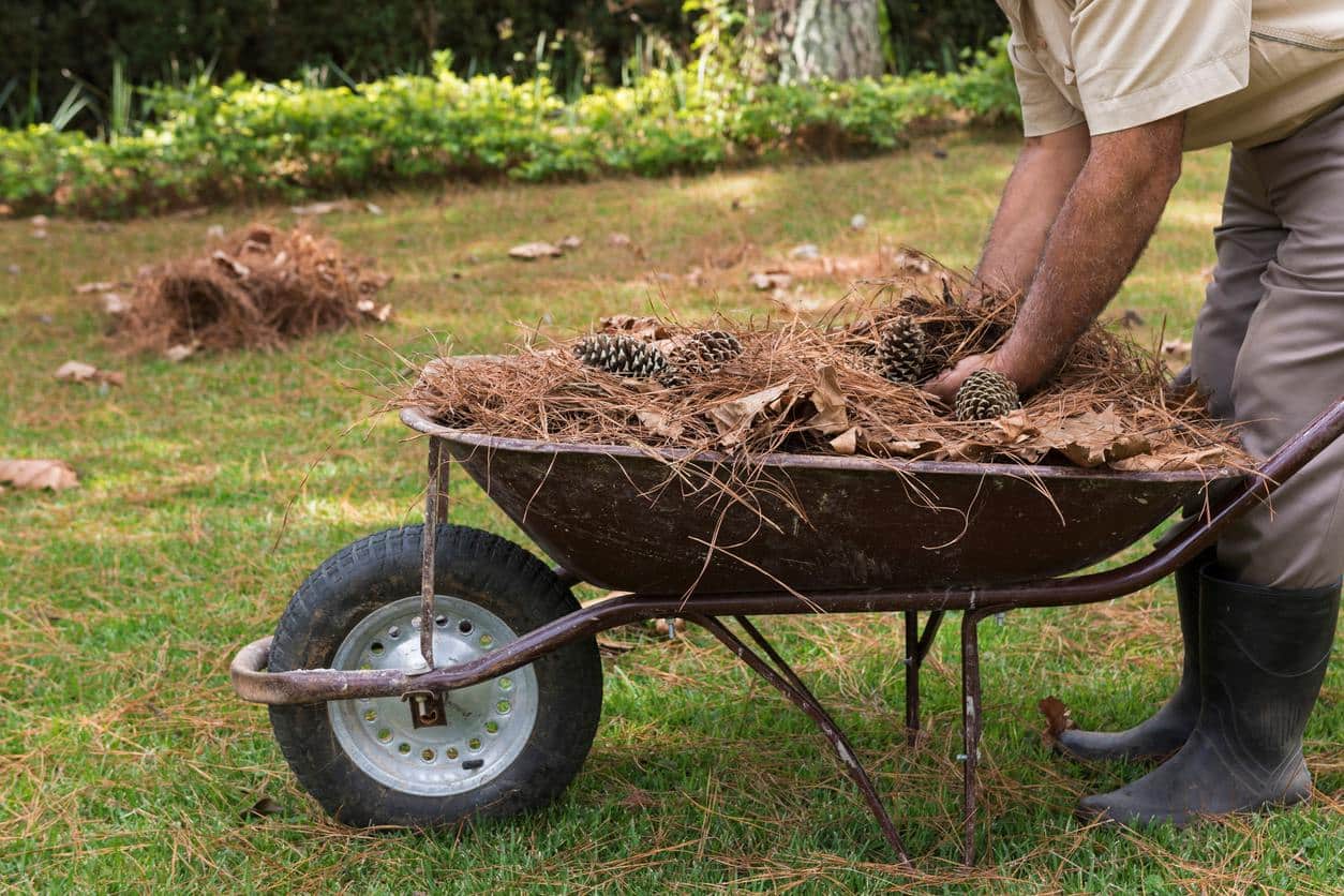 Cuánto cuesta limpiar un terreno