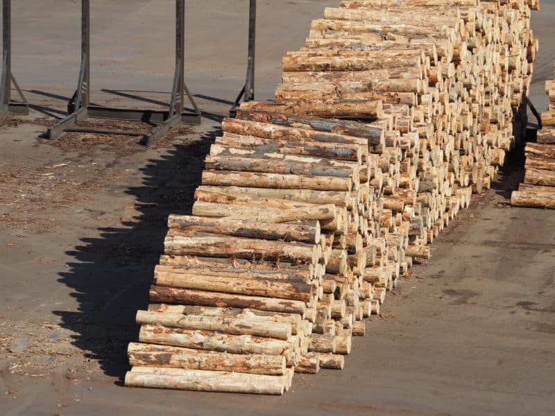 Venta ocasional de madera: cómo se declara en la Renta